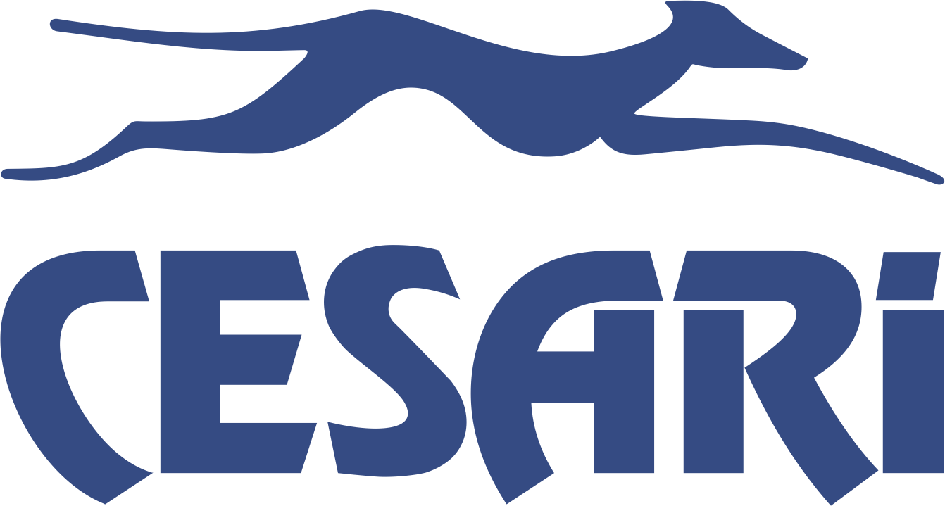 Cesari – Jornada Gestão de Riscos – 13.09.22 – ISE Survey